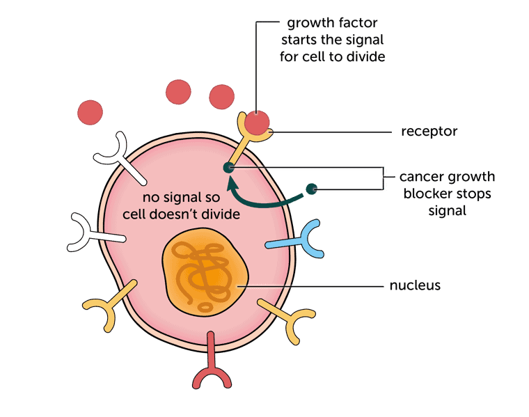 Targeted Therapy